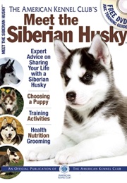Meet the Siberian Husky (American Kennel Club)