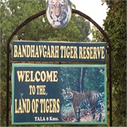Bandhavgarth National Park