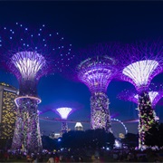 Wonder at the Gardens by the Bay&#39;s Supertrees Grove, Singapore