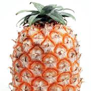 Azores Pineapple