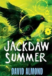 Jackdaw Summer (David Almond)
