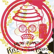 Rise to Your Knees (Meat Puppets, 2007)