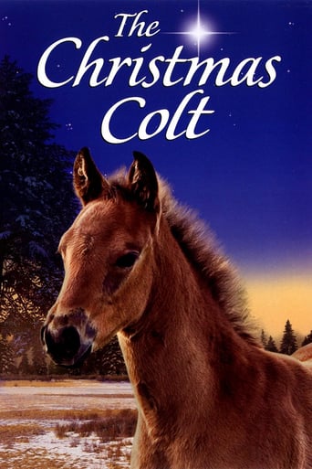 The Christmas Colt (2013)