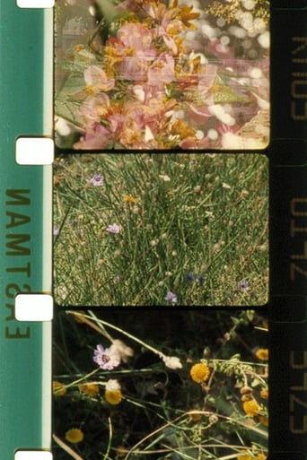 Bouquets 1-10 (1995)
