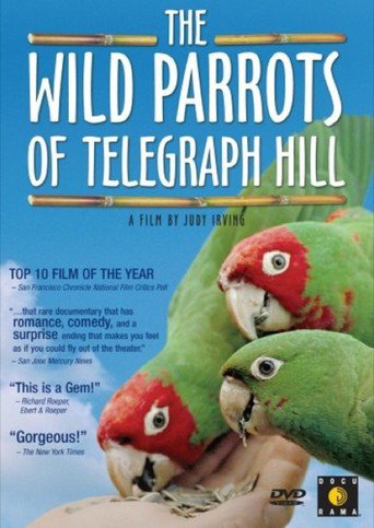 The Wild Parrots of Telegraph Hill (2003)