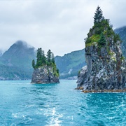 Kenai Fjords, Alaska