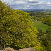 Alderley Edge and Cheshire Countryside