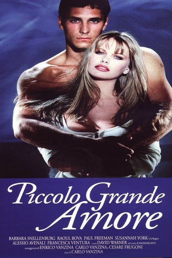 Piccolo Grande Amore (1993)
