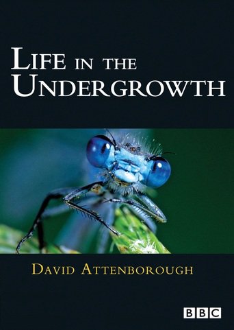Life in the Undergrowth (2005)