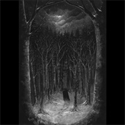 Paysage D&#39;hiver - Im Wald