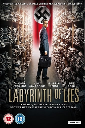 Labyrinth of Lies (2014)