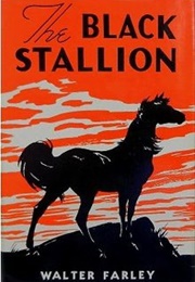 Black Stallion Series (Walter Farley)