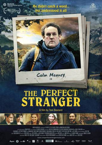 The Perfect Stranger (2011)