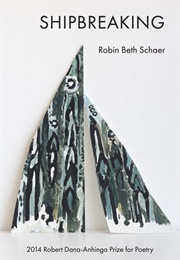 Shipbreaking (Robin Beth Schaer)