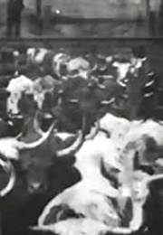 Cattle Driven to Slaughter (1897)