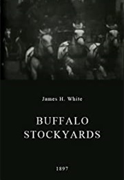 Buffalo Stockyards (1897)