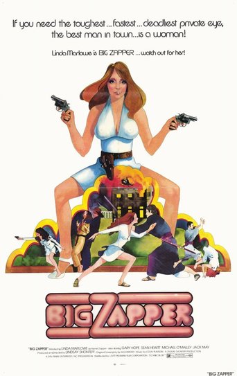 Big Zapper (1973)