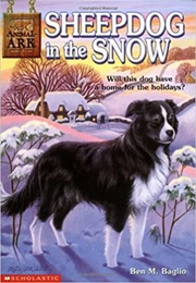 Sheepdog in the Snow (Ben M. Baglio)