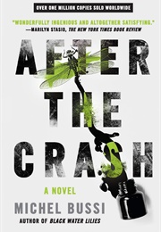 After the Crash (Michael Bussi)