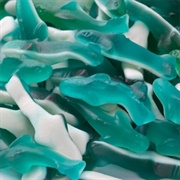 Gummy Blue Dolphins