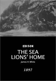 The Sea Lions&#39; Home (1897)