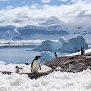 Antarctica (Coldest Place on Earth by Average Temp)