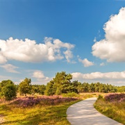 Hoge Veluwe National Park, Netherlands