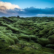 Eldhraun Lava Field, Iceland