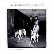 Days Like This (Van Morrison, 1995)