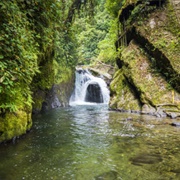 Waterfall Trail, Mindo-Nambillo Reserve, Ecuador