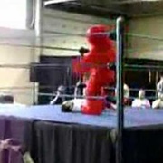 Elmo vs. Vegeta at Anime North 2007