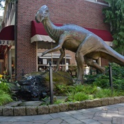 Haddy the Dinosaur, New Jersey