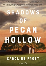 Shadows of Pecan Hollow (Caroline Frost)