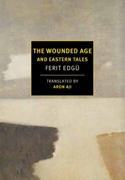 The Wounded Age (Ferit Edgu)