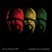 Cody Chesnutt - Landing on a Hundred