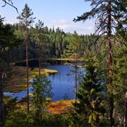 Isojärvi