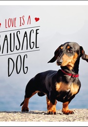 Love Is a Sausage Dog (Charlie Ellis)