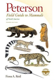 Peterson Field Guide to Mammals of North America (Fiona A. Reid)