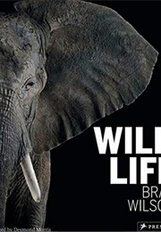 Wild Life (Brad Wilson)