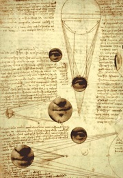 Leonardo Lives: The Codex Leicester (Trevor Fairbrother)