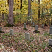 Illinois State Training School Cemetery