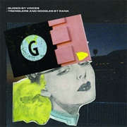 Tremblers and Goggles by Rank (Guided by Voices, 2022)