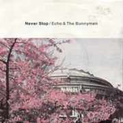 Never Stop - Echo and the Bunnymen
