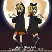 Black Cats of Halloween