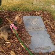 Brownie the Town Dog&#39;s Grave