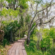 Take a Ride in Jean Lafitte National Historical Park (Louisiana)