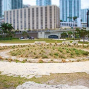 Miami Circle