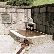 Source of the Moselle