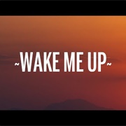 Wake Me Up- Avicii