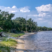 Tarkiln Bayou Preserve State Park